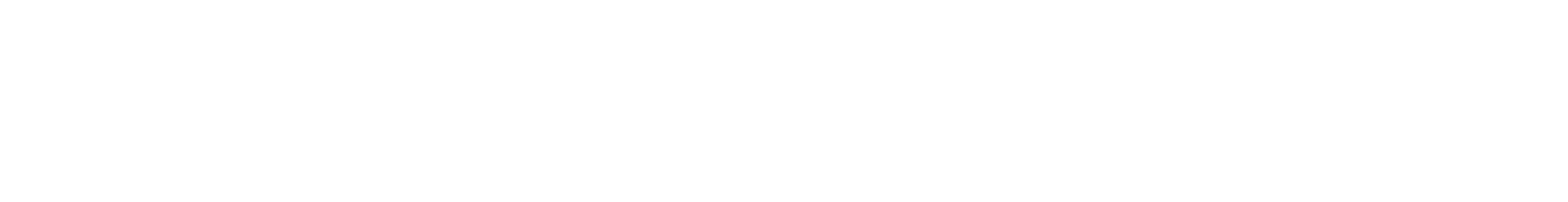 section-4.png