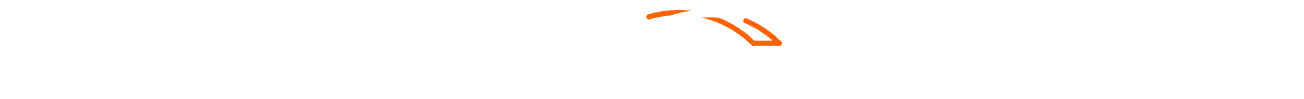 Sportbridge